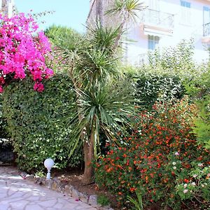 Central avec Jardin
