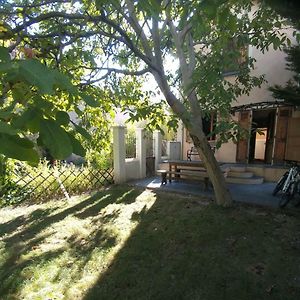 Mon petit jardin de ville