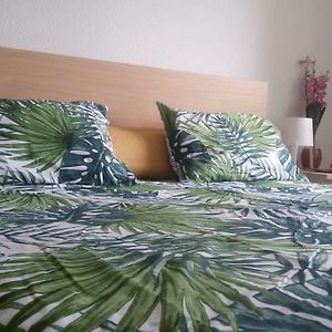 Appartement à 3 Chambres à Coucher