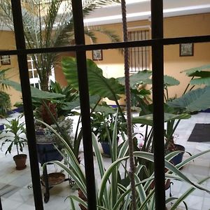 Appartement Rez-de-Chaussée