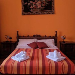 L'Ottavo Re Di Roma