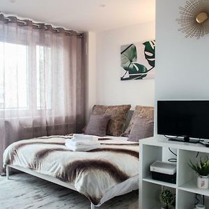 Sunny City Center Apartment