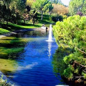 Pradera San Isidro 1