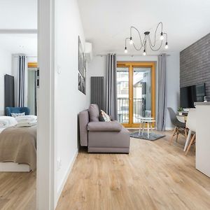 City Of The Kings-Silver Apartment No 2- Lubelska 10