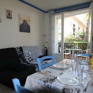 La palmeraie