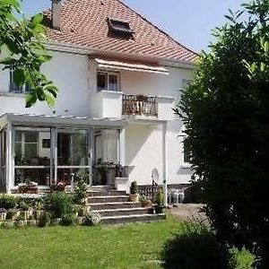Bel Appartement Lumineux