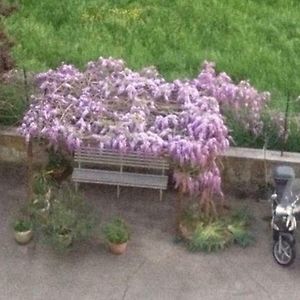 Appartamento Zona Torregalli_Nuvola Rossa
