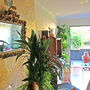 Rochas Shared Apart Garden Refuge