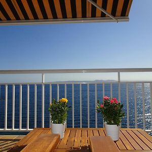 Apartament Belvedere