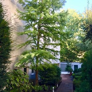 Apartment Centrum Im Gruenen