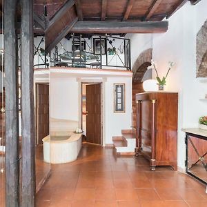 Cedro Terrace&Jacuzzi - Loft In Trastevere