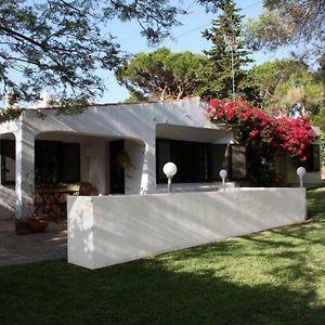 Maison de Vacances