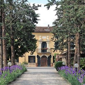 Attico Con Terrazza Villa Marianna
