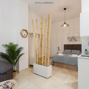 Appartement de Luxe à 1 Chambre à Coucher