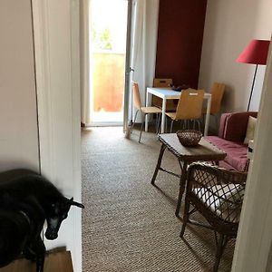 Appartement Hippolyte