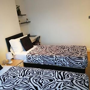 Dream Time Apartments-Aqua Suite
