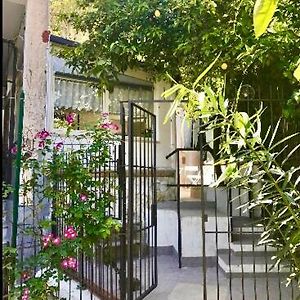 Appartement Duplex