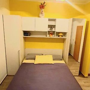 Studio Lit King-Size