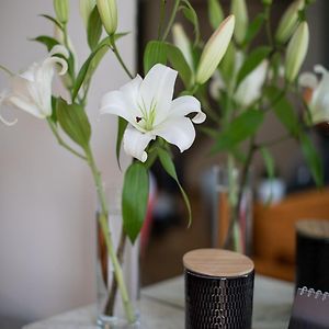 Ecrin design a deux pas de la mer
