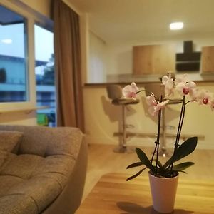 Appartement à 2 Chambres à Coucher