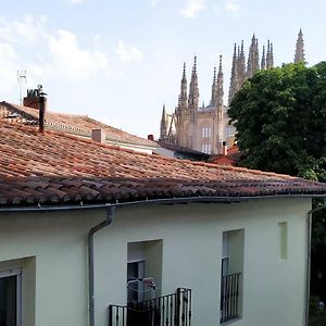 Living Burgos