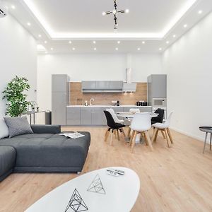 Apartment Downtown Paulay43