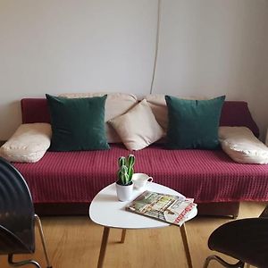 Cozy Studio Stefan Cel Mare