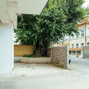 Comfy Apartment Matei Basarab