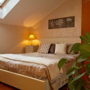 Chambre Quadruple de Luxe
