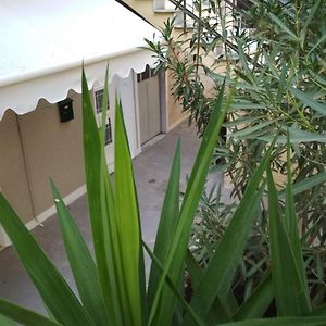 Appartement Studio
