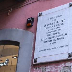 B&B Pisadog