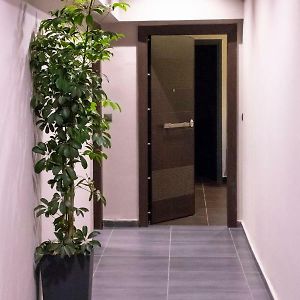 Appartement de Luxe