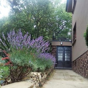Apartman V Zahrade Praha Troja - Apartment In The Garden Prague Troja