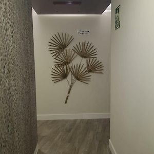 Appartement de Luxe