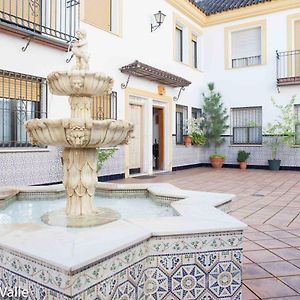 Los Patios “ El Carmen”