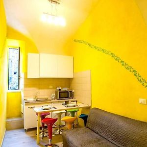 Appartement Standard