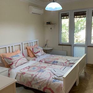 Viitoshka Apartment