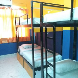 Chambre Juste Pour Femmes Dortoir