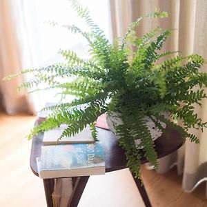 Apartamentos Santa Maria By Heart Of Funchal