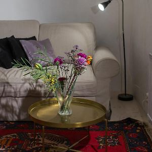 Appartement Studio
