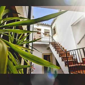 Appartement Rez-de-Chaussée
