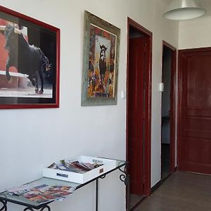 Appartement avec terrasse quartier Montplaisir