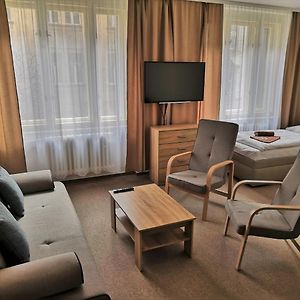 Suite Junior