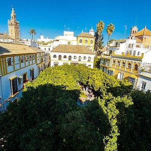 Apartamento Plaza De Dona Elvira 8
