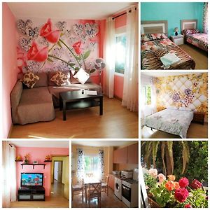 Apartamento Turistico En Valencia