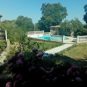 Le mazet en été