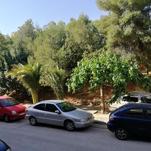 Lemontree
