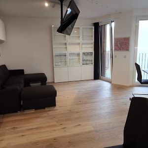 Downtown Vienna New Built Luxury Suites