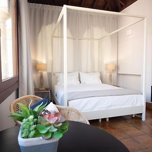 Appartement Penthouse
