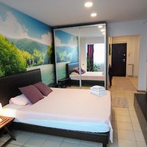 Appartement à 1 Chambre à Coucher